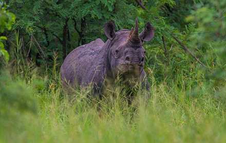 Majete Wildlife Reserve