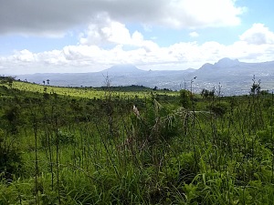 米丘鲁山 2
