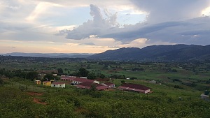 曼齐尼 3