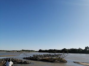 赛岛 2