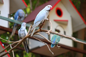 马歇尔自然保护区 5