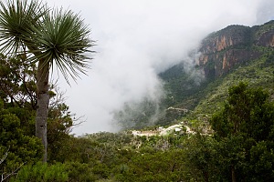 达洛山 3