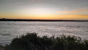 尼罗河街 3