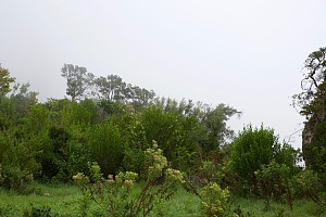 达洛山 2