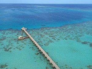 红海 2
