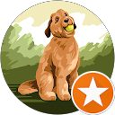 attractions-reviews-avatar