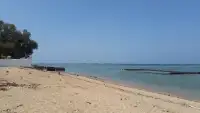 萨阿德·阿德丁岛