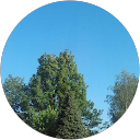 attractions-reviews-avatar