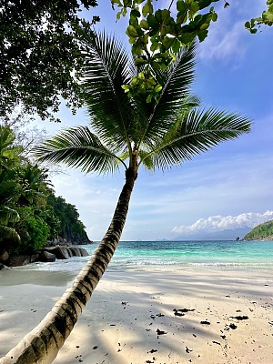 小安斯海滩 4