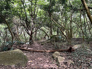 尼德艾格尔 3