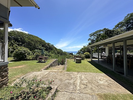 国王花园香料园