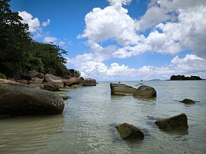 安斯沃尔伯特 5