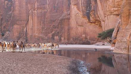 Guelta d'Archei