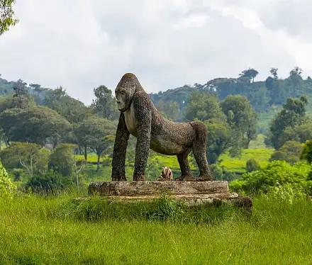 Kahuzi-Biega National Park