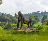 Kahuzi-Biega National Park