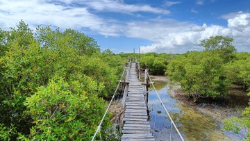 Mida Creek photo 2