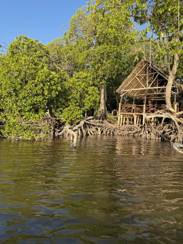 Mida Creek photo 1