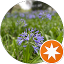 attractions-reviews-avatar