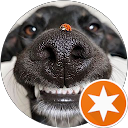 attractions-reviews-avatar