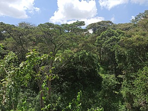 欧洛鲁亚自然步道 3