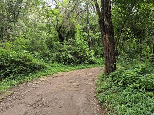 欧洛鲁亚自然步道 2