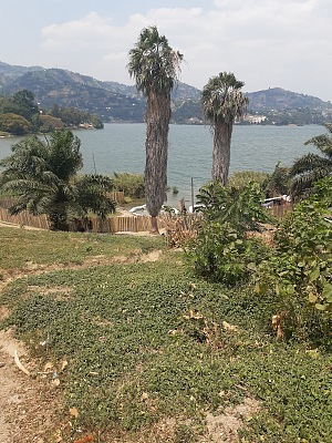 基塞尼 3
