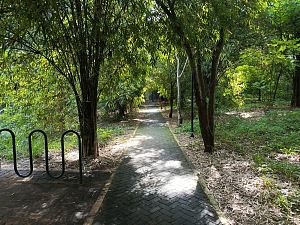 尼扬杜古城市湿地生态旅游公园 3