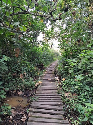 比戈迪湿地保护区 4