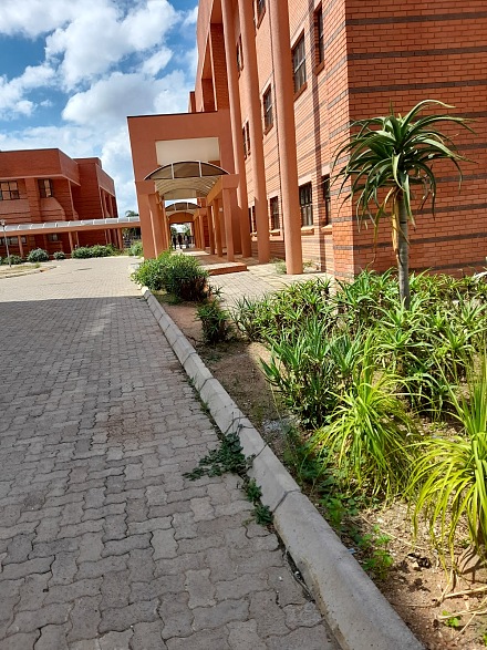 博茨瓦纳大学