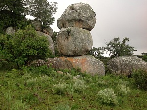 尼扬加 5