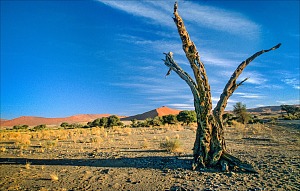 Hidden Vlei 3