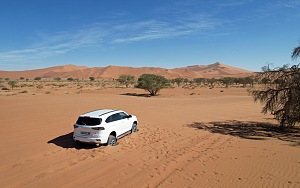 Deadvlei 2