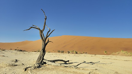 Hidden Vlei