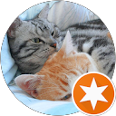 attractions-reviews-avatar