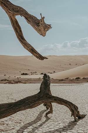 Hidden Vlei 4