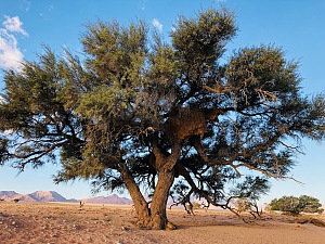 Hidden Vlei 5