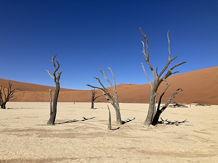 Deadvlei