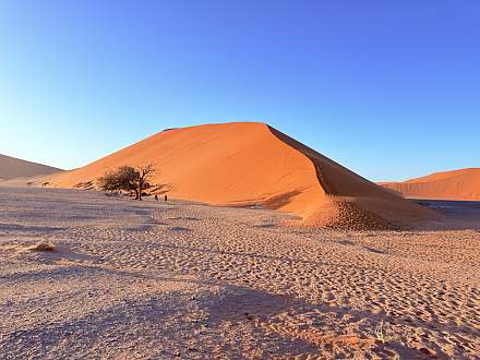 Dune 45