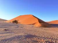 Dune 45