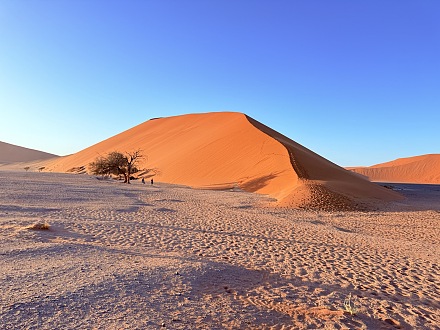Dune 45