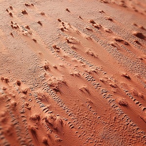 Dune 45 4