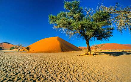 Hidden Vlei