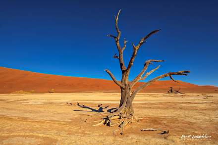 Deadvlei