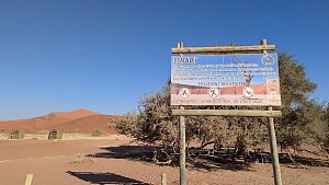 Deadvlei 4