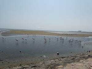 泽伊拉沉船 3