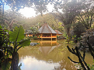瓦科纳森林旅馆 4
