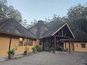 瓦科纳森林旅馆 5