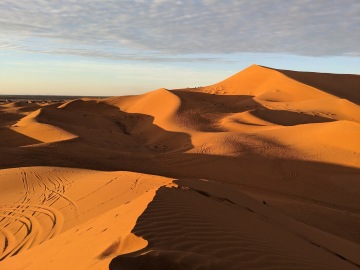 Erg Chebbi photo 1