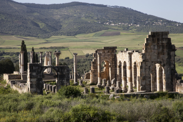 Volubilis photo 1