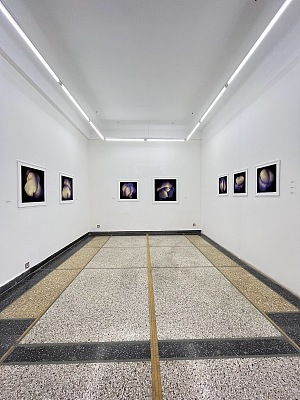 Comptoir des Mines Galerie 5